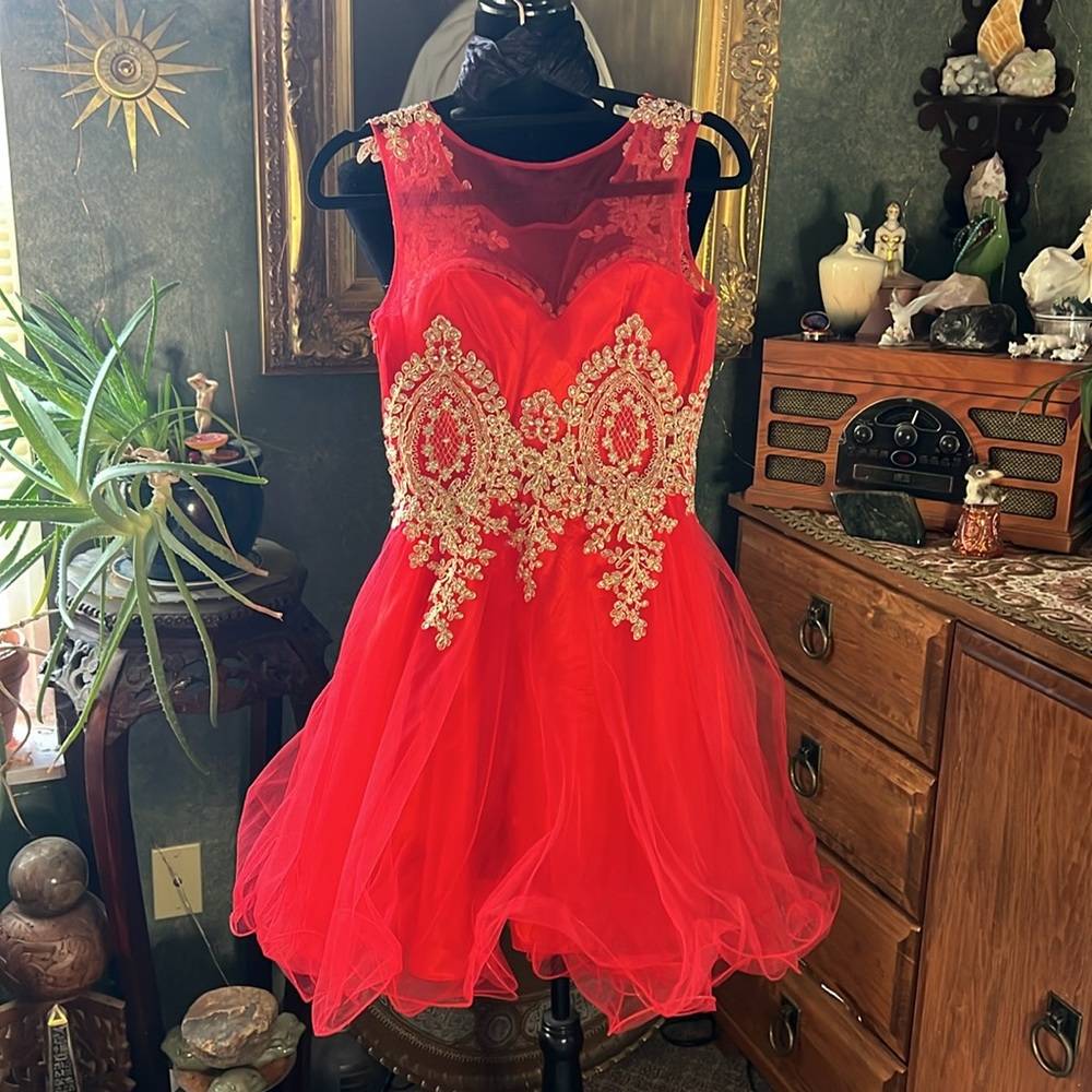 Anny Lee dress - Picture 4 of 8